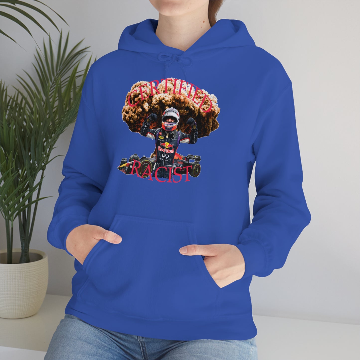 Certified Racist Hoodie™